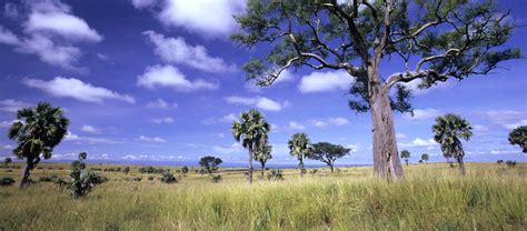 Uganda-Landscape.jpg – Jaime On The Road