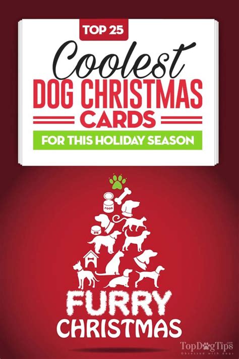 25 Unique Dog Christmas Cards for Animal Lovers (Updated 2023!)