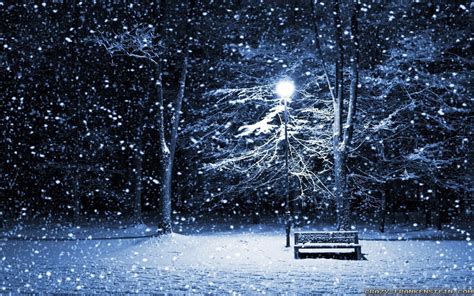 Winter Night wallpaper | 1440x900 | #2783