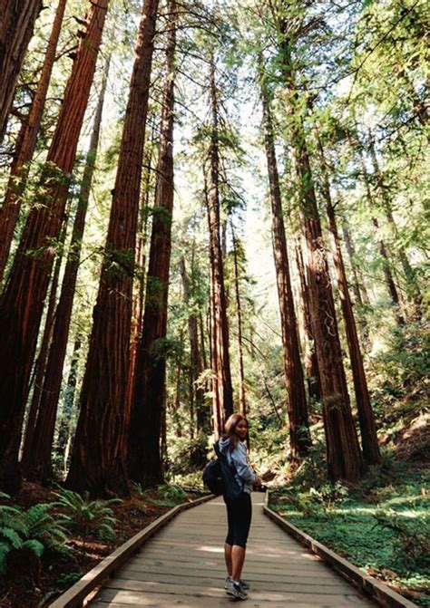 Muir Woods Will Make You Hike Deeper in 2020 | Hiking photography ...