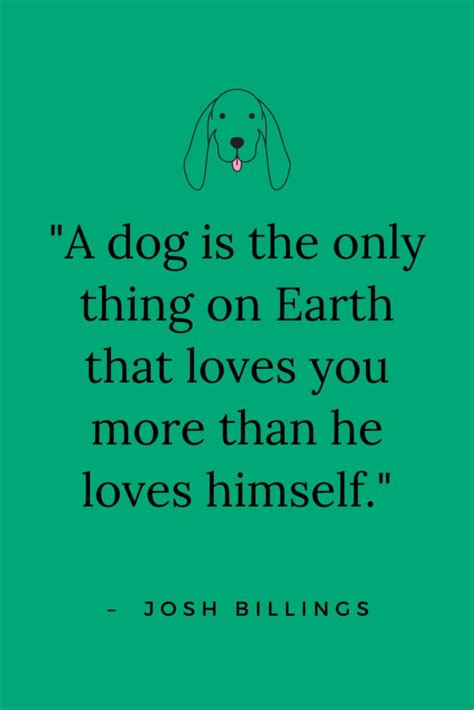 Amazing Dog Quotes