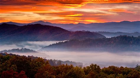 Great Smoky Mountains Animals - photos and vectors