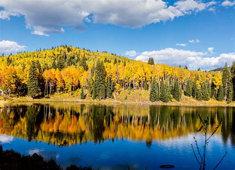 Best Grand Mesa National Forest Stock Photos, Pictures & Royalty-Free ...