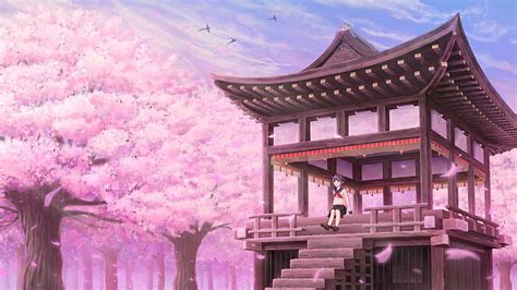 Anime Cherry Blossoms Wallpaper