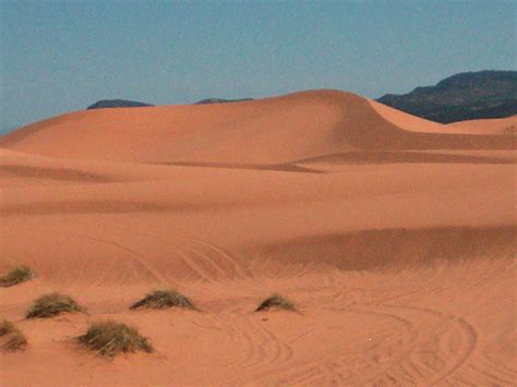 Coral Pink Sand Dunes State Park - Wikipedia