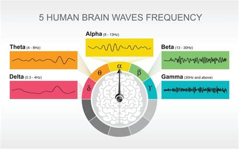 Understanding Brain States and Brain Waves: Alpha, Beta, Theta - Can ...