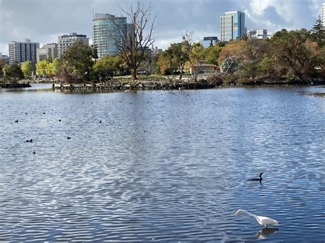 My 15-Minute City: Lake Merritt, Oakland, California – Common Edge