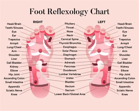 DIY Foot Reflexology: How To Use It For Better Sleep | mindbodygreen