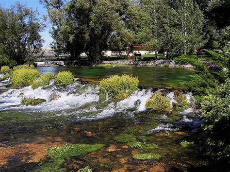 Giant Springs Montana State Park: One Of The Most Visited Parks : Big ...