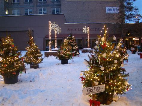 Dates in Idaho Falls: Christmas Tree Lighting