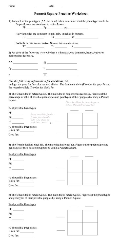 Practice With Punnett Squares Worksheet