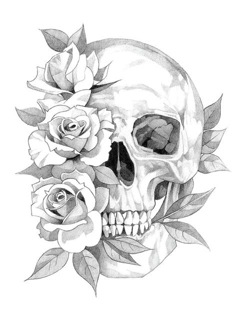 Skull and Roses Pencil Drawing 3 Drawing by Matthew Hack - Pixels