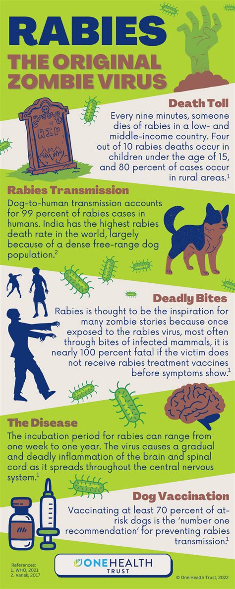 Rabies In Humans Zombies