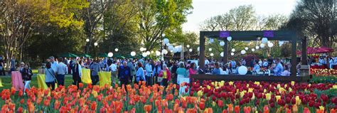 Dallas Arboretum Food & Wine Festival 2024 - Eventeny