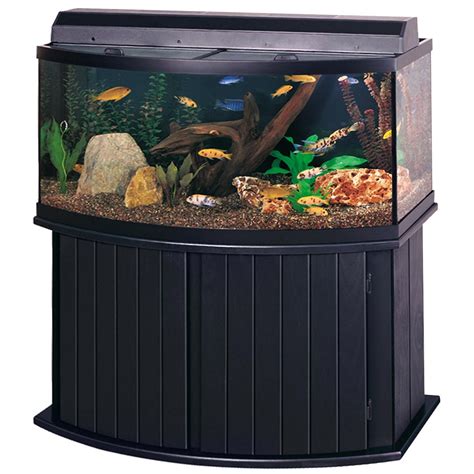 100 Gallon Fish Tank Bow Front - Ape Aquarium Fish