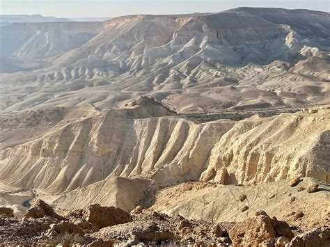 Negev Desert 2024 - Drusi Gisella