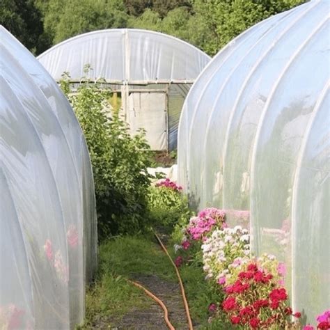 Polytunnel Accessories