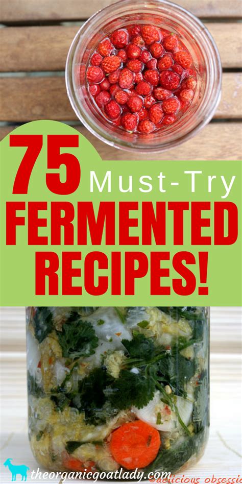 75 Fermented Foods Recipes! - The Organic Goat Lady