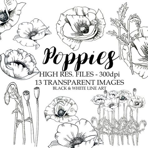 Black and White Poppies Clipart Black and White Poppies | Etsy