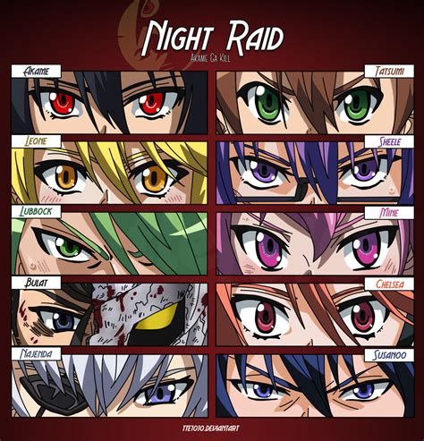 Akame Ga Kill : Night Raid by tte1010 on DeviantArt