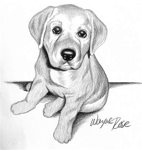 Cute Dog Drawing Simple : Cute Dog Drawing Step By Step | Bodewasude