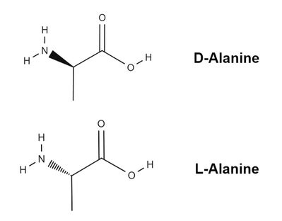 draw the skeletal structure of d-alanine - superherodesignconceptartdraw