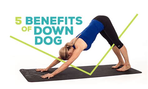 5 Benefits of Downward Facing Dog Pose - DoYou