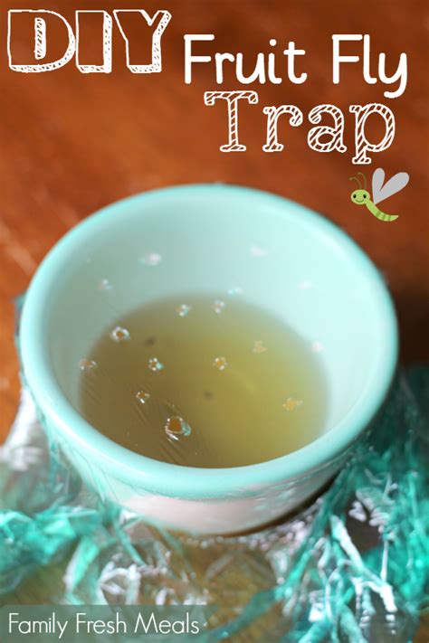 DIY Easy Fruit Fly Trap - Family Fresh Meals