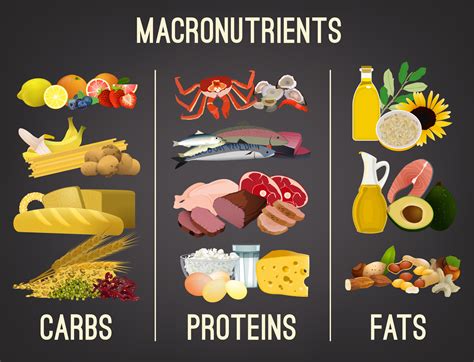 Carbohydrates, Proteins, And Fats- What You Need To Know | The IV Lounge