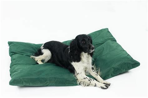 Easipet Waterproof Dog Bed in Green (Extra Large) - Dog Incontinence UK