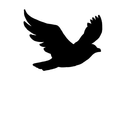 Bird Silhouette Transparent Clipart - Clipart Suggest