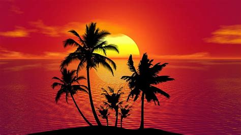 Silhouette Sunset Palm Tree Drawing - Lalocades