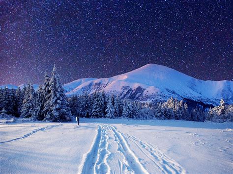 Cold winter night-Sky full with stars - Wonderful landscape. Beautiful ...