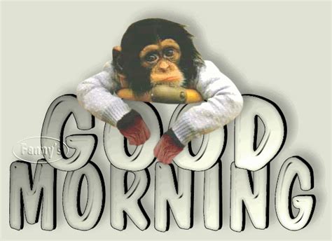 Good Morning – Sad Monkey