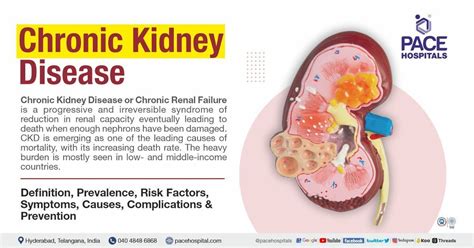 Chronic Kidney Disease Symptoms, Stages, Causes, Risk, 45% OFF