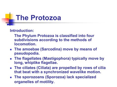 The Protozoa