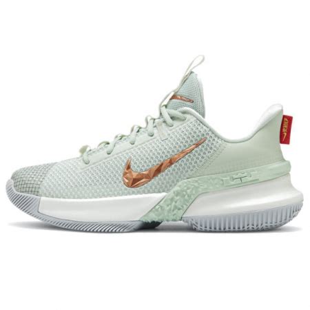 kixstats.com | Which basketball players wear Nike LeBron Ambassador 13