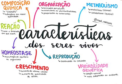 Mapa Mental De Características De Los Seres Vivos - MXEDUSA