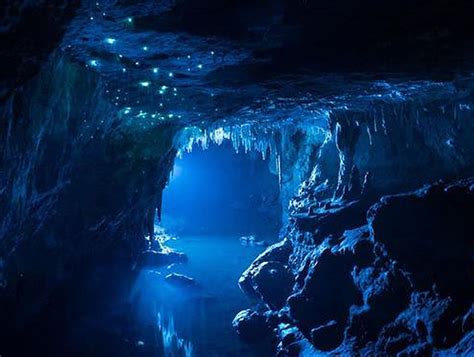 Waitomo Glowworm Caves | Waitomo | New Zealand | AFAR