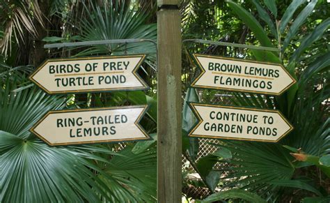 A Visit To Sarasota Jungle Gardens | WUSF