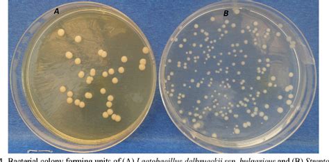 Figure 1 from Effects of Tea (Camellia sinensis) Phytochemicals on the ...