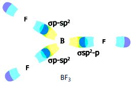 Explain the formation of Boron trifluoride molecule by Hybridization ...