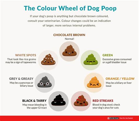 Yellow Poop Color Chart