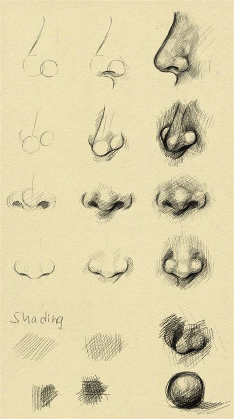 10 Amazing Nose Drawing Tutorials & Ideas - Brighter Craft | Nose ...