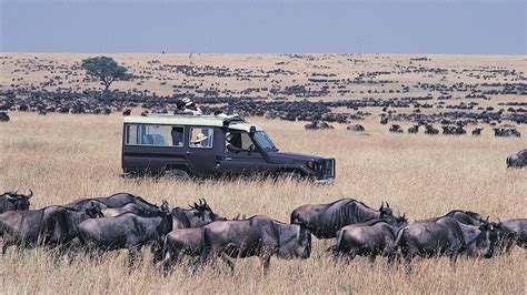 Maasai Mara National Reserve | Kenya Safari Destinations