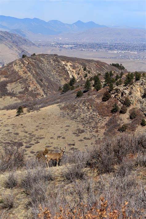 Roxborough State Park, Colorado Stock Image - Image of states, outdoors ...