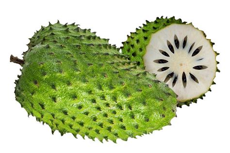 Annona Muricata.Soursop Fruit Stock Photo - Image of clipping, juicy ...