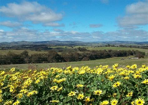 Heathcote, Australia 2023: Best Places to Visit - Tripadvisor