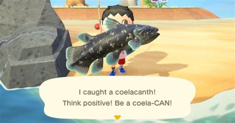 Animal Crossing: New Horizons - How To Catch The Infamous Coelacanth