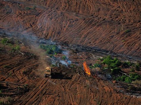 Amazon photos show ‘illegal’ burning of rainforest amid record ...